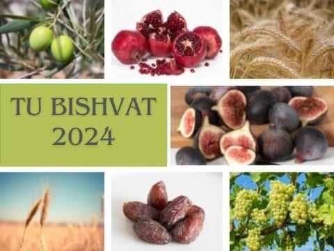 Tu-BiShvat-2024-qidvf9tyrc00mm8dqicosi1671869zuaw3gvveotn4