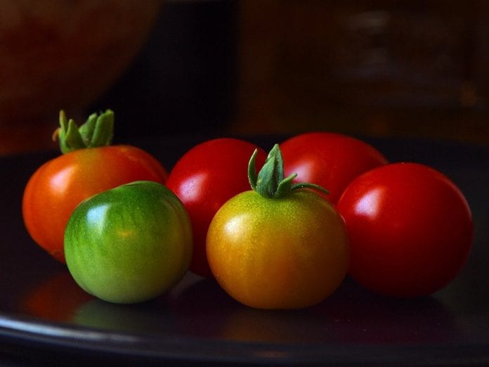 tomatoes_green_red