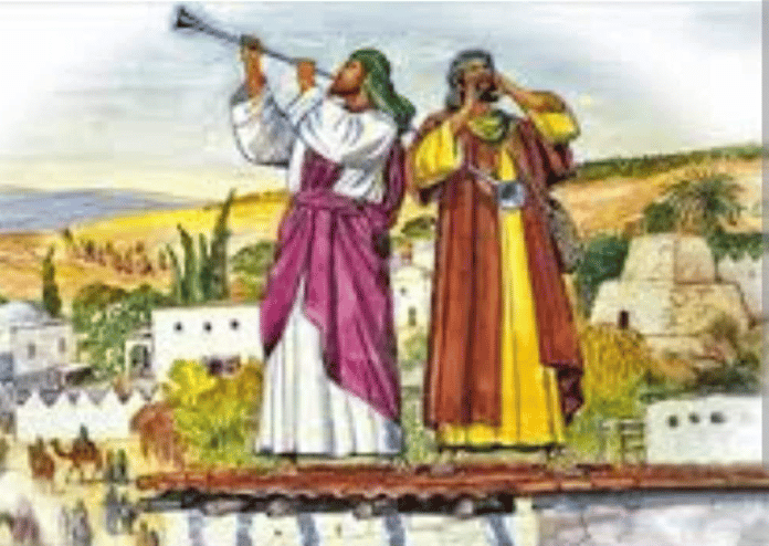 image (1)