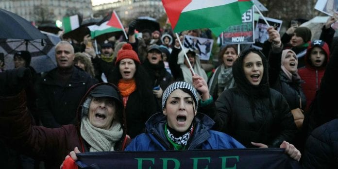 TOPSHOT-FRANCE-PALESTINIAN-ISRAEL-CONFLICT-DEMO
