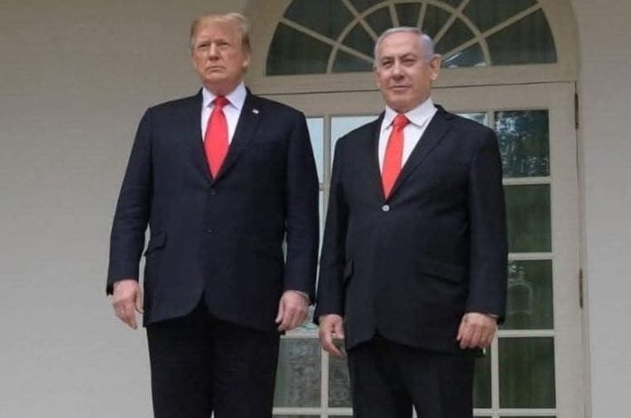 trump et natan