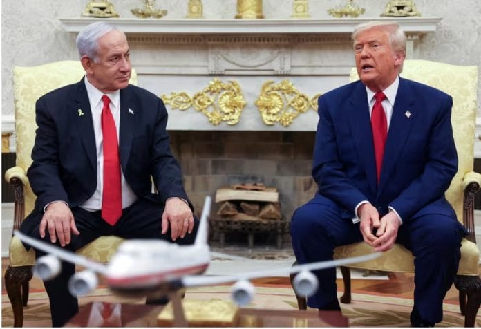 Bibi