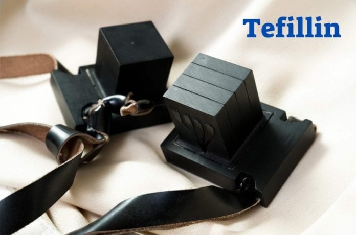 TEFILINS