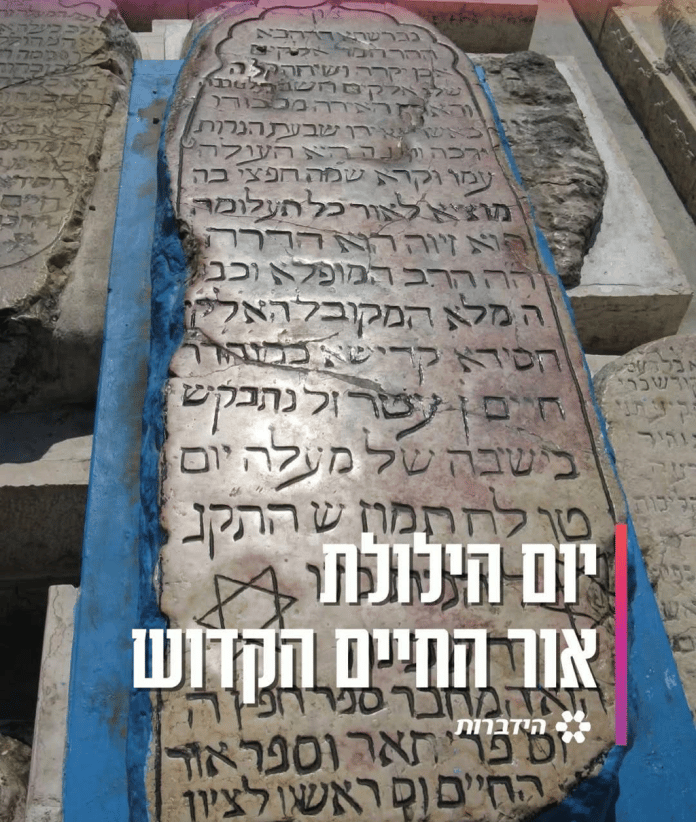 image (3)