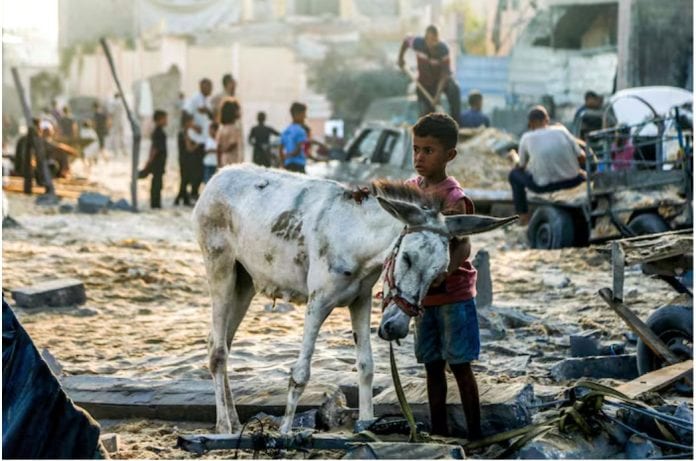 GAZA 10