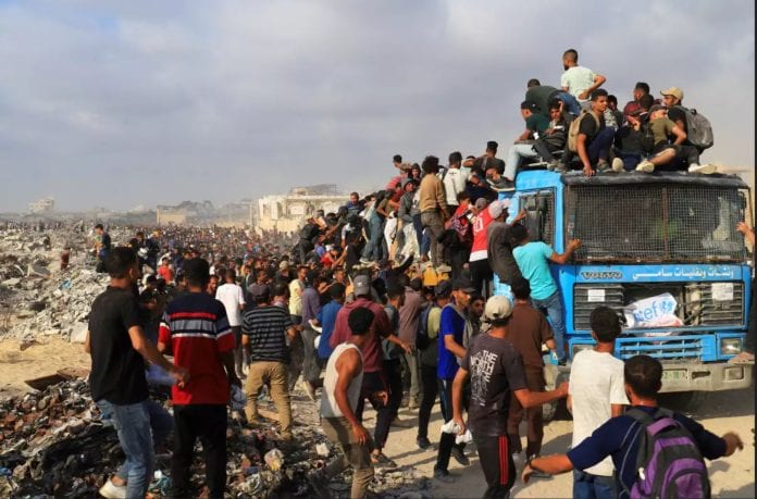 GAZA 23