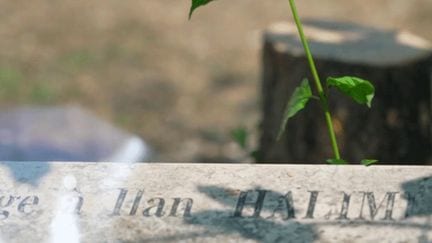 ilan-689f897658ff3476396533