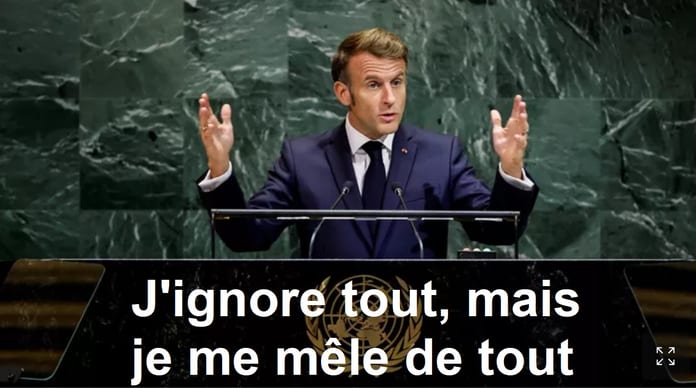 l'idiot