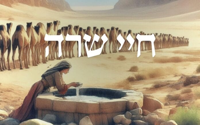 Chayei-Sarah-parsha-image-rivka-tending-to-the-camels-at-the-well-in-the-desert-watering-hole-rebecca