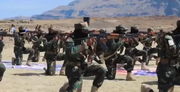 houthis