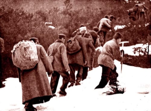 shoah