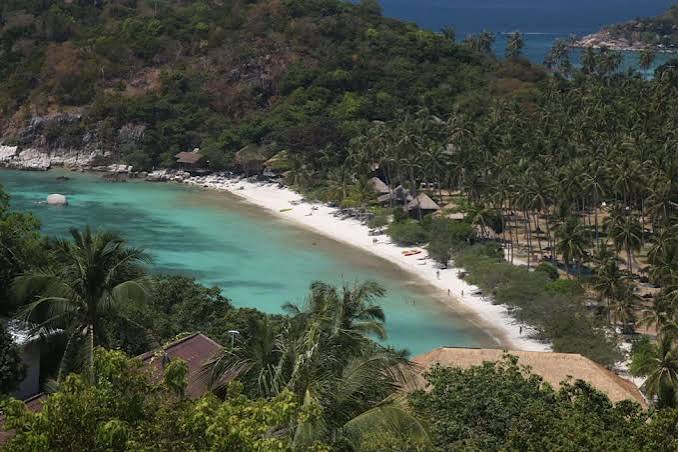 thai