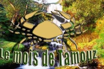 Tamouz: maîtriser les forces de la nature (vidéo)