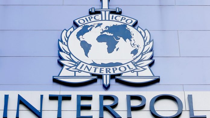 Interpol (1)