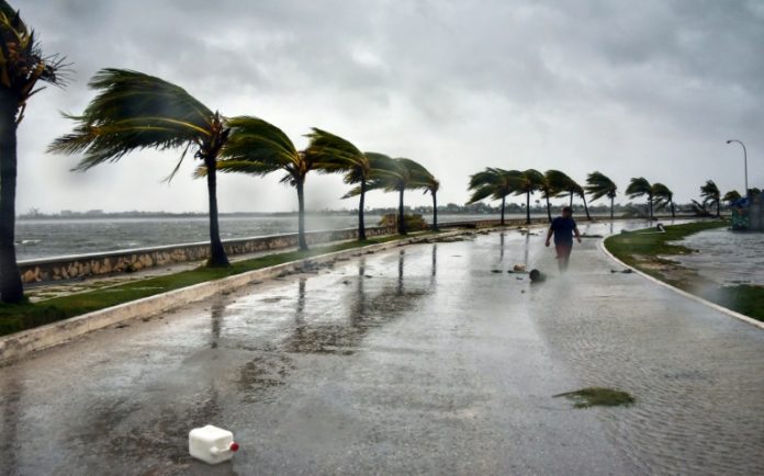 irma