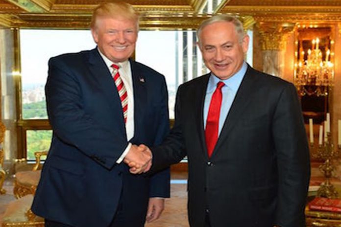 bibi