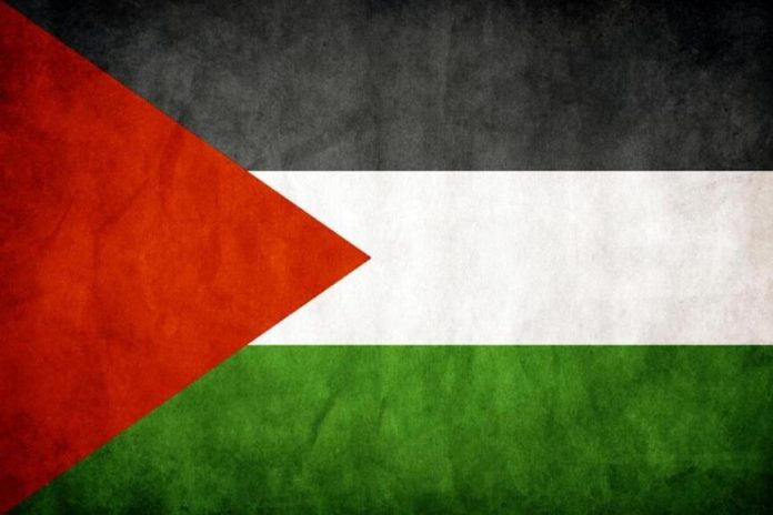 le-drapeau-palestinien