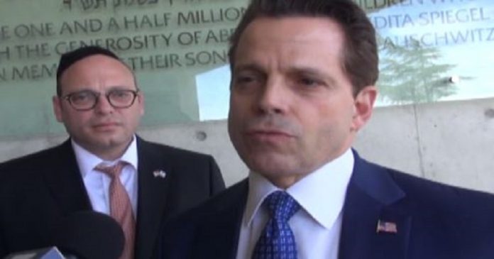 Scaramucci