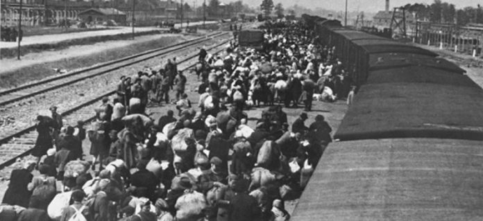 auschwitztrains