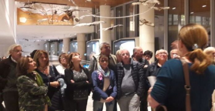 Le-Musée-Steinhardt-dHistoire-naturelle-de-lUniversité-de-Tel-Aviv