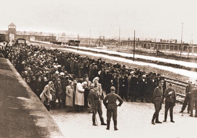 4228 HISTOIRE MENGELE TOURNE AUSCHWITZ