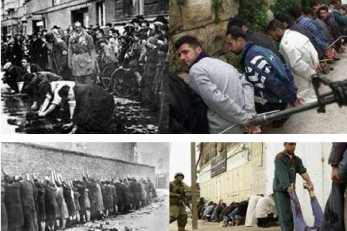 palestine-holocaust-lineups_828_552