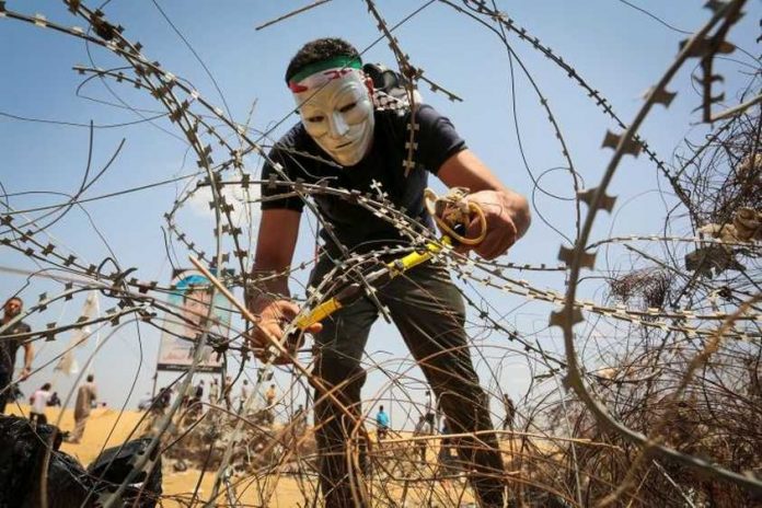 Gaza-A-Palestinian-protester-cuts-barbed-wire-12_843_562