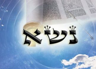 Nasso: Birkat hacohanim, la femme infidèle, le nazir (vidéo)