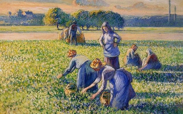 Pissarro_-_La_cueillette_des_pois-640x400