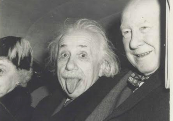 albert