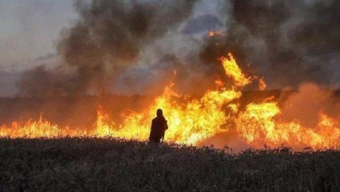 ob_2cbafb_incendie-en-israel-provoque-par-des