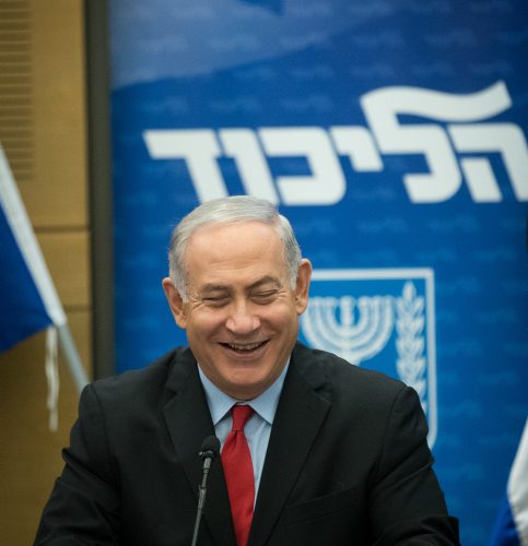 Bibi-rit-YS-483x500