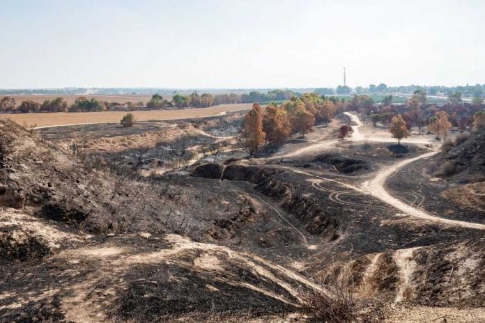 Burned-Field-Gaza-B-25_1000_667