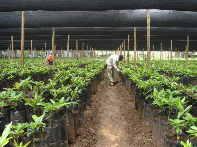 MASHAV-USAID-Cooperation-in-Ethiopia_jpg