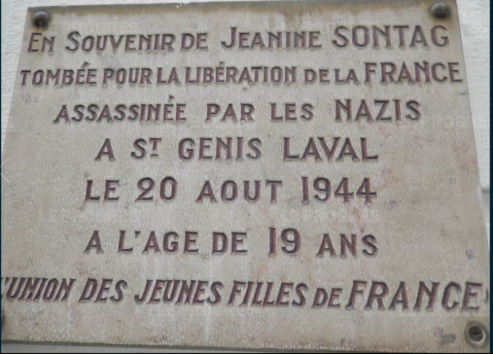 sontag2