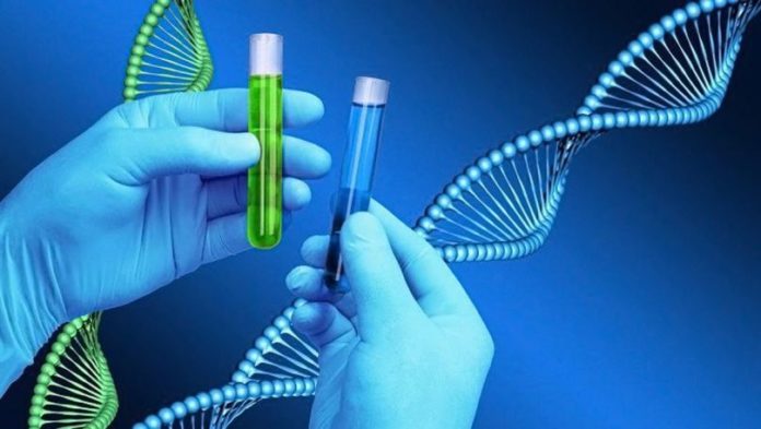 Une-C3A9norme-fuite-de-donnC3A9es-auprC3A8s-du-service-MyHeritage-DNA2-696x393