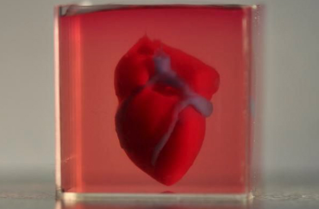 Coeur-3D