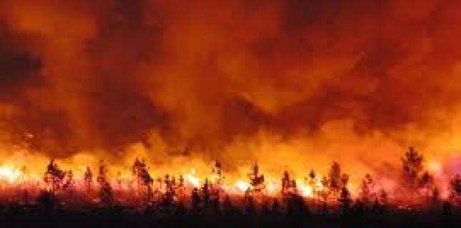 incendies_0