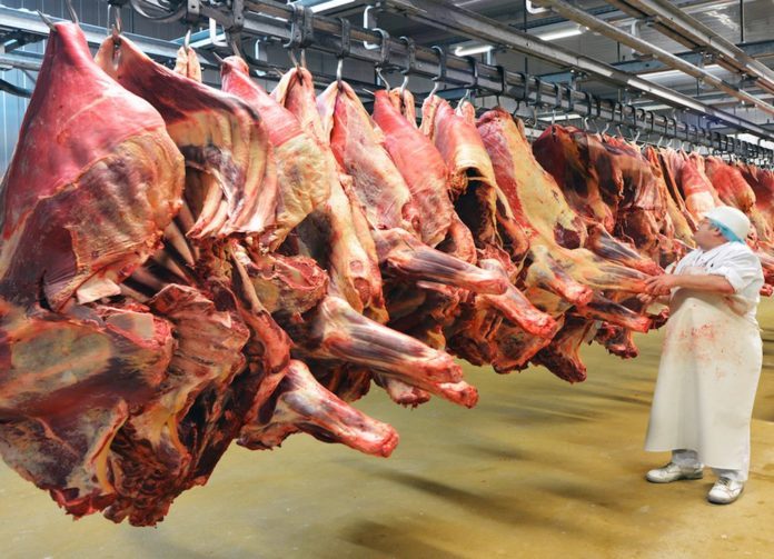 Beef-696x503