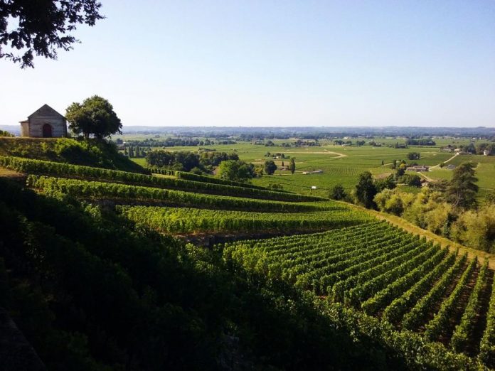 route_des_vins_casher_rdv_c_03306300_160145850