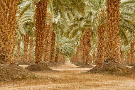 AgriFood2
