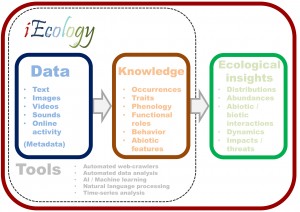 iecology-300x212