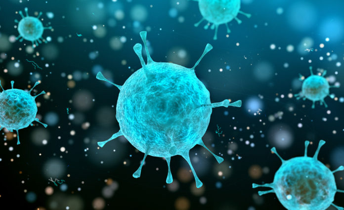 bacteries-rechauffement-climatique