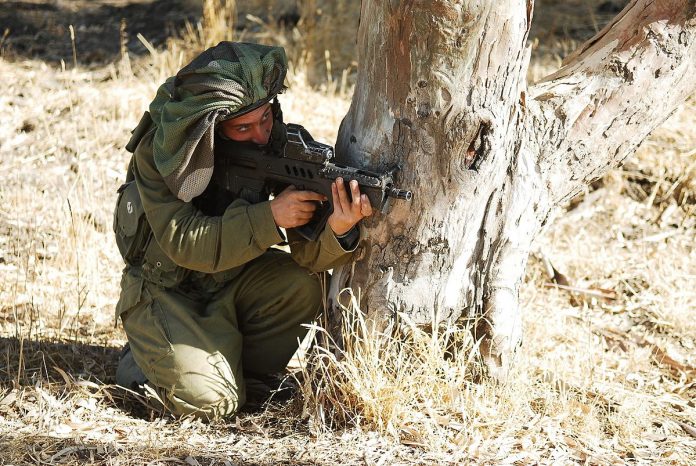 Flickr_-_Israel_Defense_Forces_-_13th_Battalion_of_the_Golani_Brigade_Holds_Drill_at_Golan_Heights_(14)