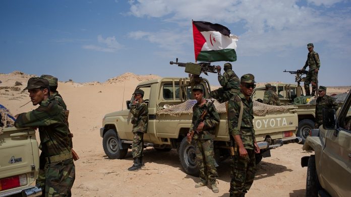 polisario-soldiers