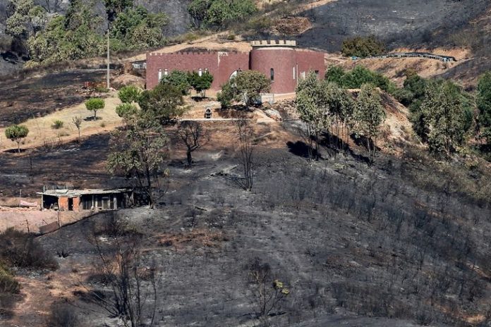 Six-jeunes-Portugais-valoir-forets-recurrents-Portugal-tempetes-puissantes-hiver-impact-direct_0