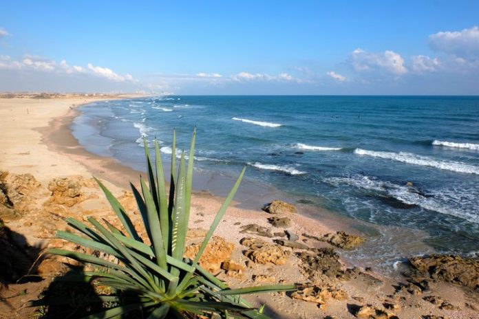israel-plage-palmachim