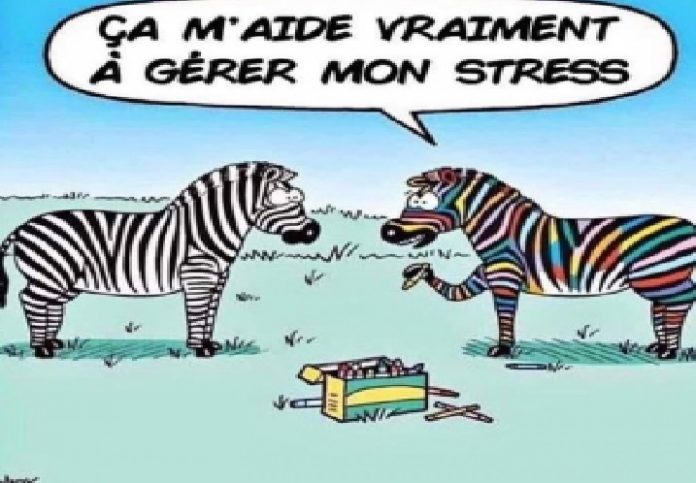 Sans titre