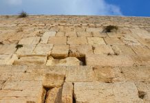 Qui ne se souvient pas des Kippour de son enfance ?