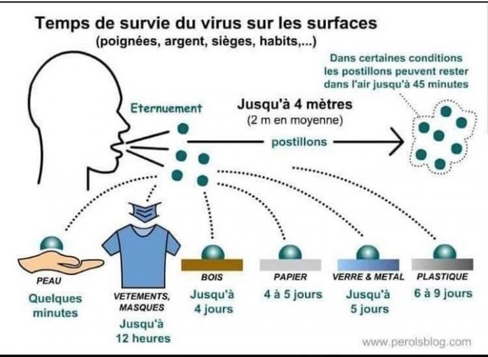 20210618-2a_Après la récession du Covid Temps de survie des virus